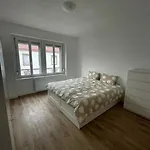 Mulhouse, Urban Family Nest Apartament Miluza