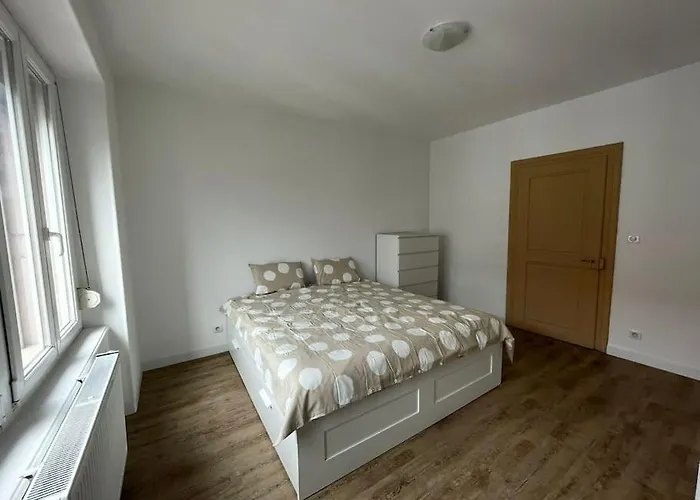 Mulhouse, Urban Family Nest